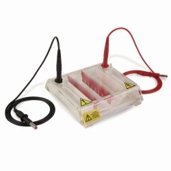 Gel electrophoresis tank MultiSUB MiniRapide | Description : MiniRapide